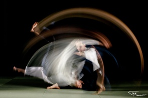 Aikido - fotografia sportowa, fot. T.Mirosz