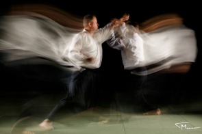 Aikido - fotografia sportowa, fot. T.Mirosz